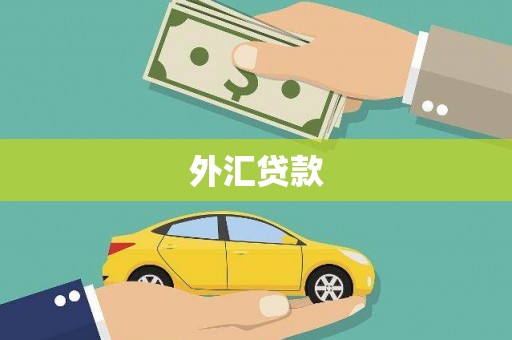 怀来外汇贷款