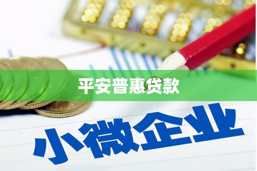 怀来平安普惠贷款