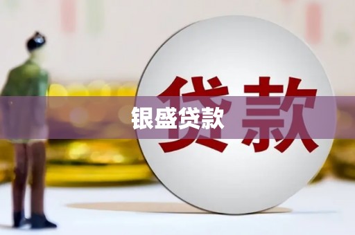 怀来银盛贷款