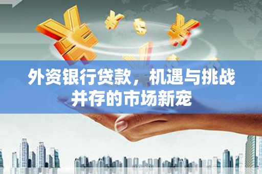 怀来外资银行贷款，机遇与挑战并存的市场新宠