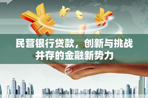 怀来民营银行贷款，创新与挑战并存的金融新势力