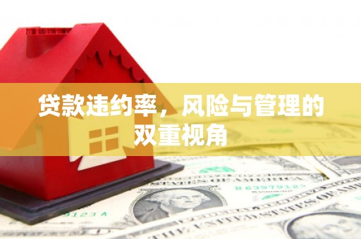 怀来贷款违约率，风险与管理的双重视角