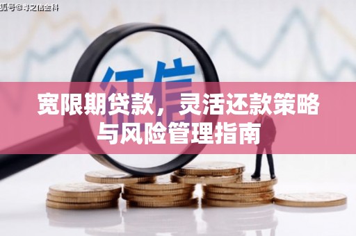 怀来宽限期贷款，灵活还款策略与风险管理指南
