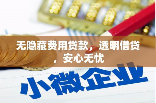 怀来无隐藏费用贷款，透明借贷，安心无忧
