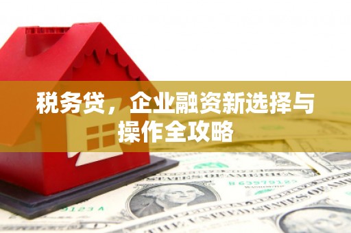 怀来税务贷，企业融资新选择与操作全攻略