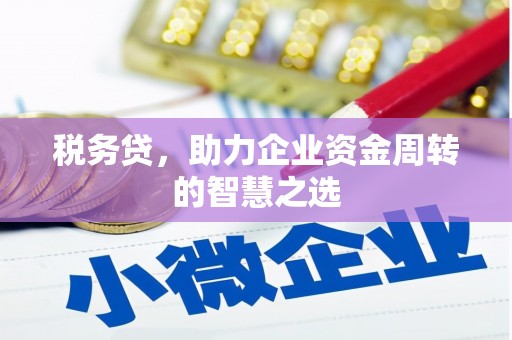 怀来税务贷，助力企业资金周转的智慧之选