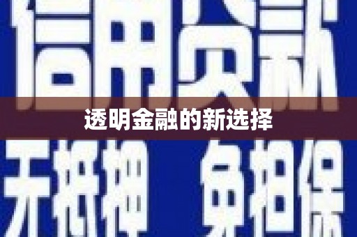 怀来透明金融的新选择