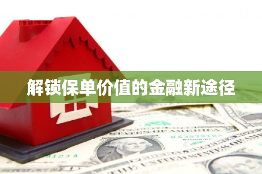 怀来解锁保单价值的金融新途径