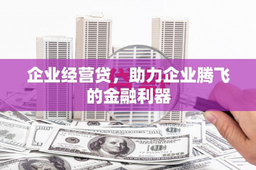 怀来企业经营贷，助力企业腾飞的金融利器