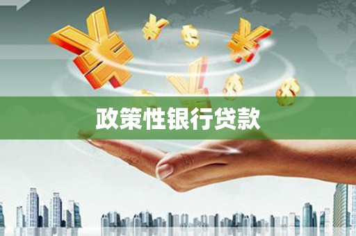 怀来政策性银行贷款