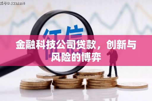怀来金融科技公司贷款，创新与风险的博弈