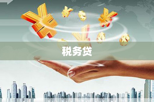 怀来税务贷