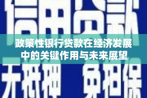 怀来政策性银行贷款在经济发展中的关键作用与未来展望