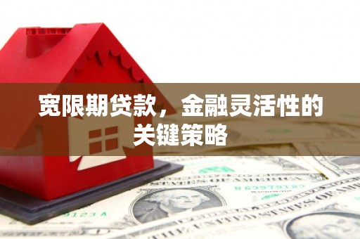 怀来宽限期贷款，金融灵活性的关键策略