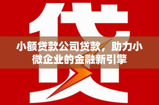 怀来小额贷款公司贷款，助力小微企业的金融新引擎