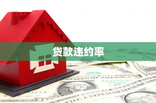 怀来贷款违约率