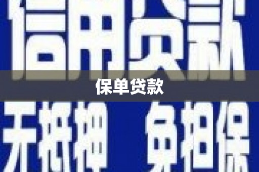 怀来保单贷款