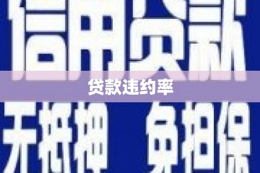 怀来贷款违约率