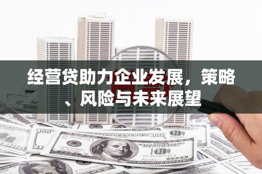 怀来经营贷助力企业发展，策略、风险与未来展望