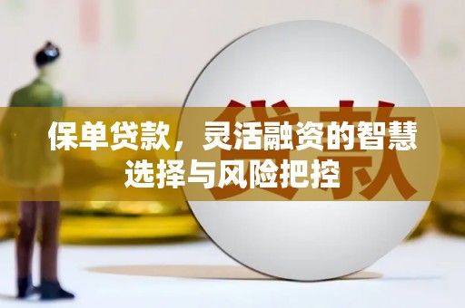 怀来保单贷款，灵活融资的智慧选择与风险把控