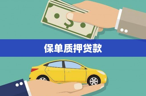 怀来保单质押贷款