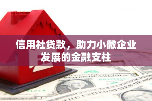 怀来信用社贷款，助力小微企业发展的金融支柱