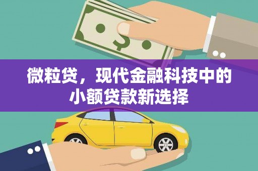 怀来微粒贷，现代金融科技中的小额贷款新选择