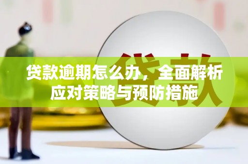 怀来贷款逾期怎么办，全面解析应对策略与预防措施