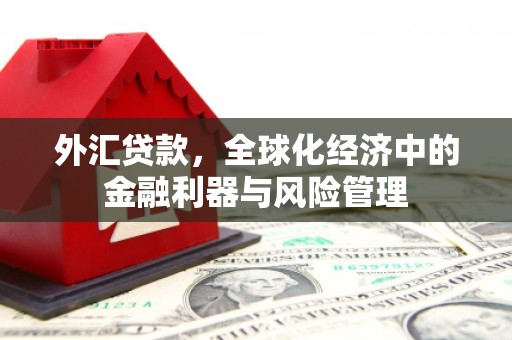 怀来外汇贷款，全球化经济中的金融利器与风险管理