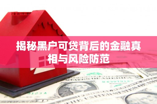 怀来揭秘黑户可贷背后的金融真相与风险防范