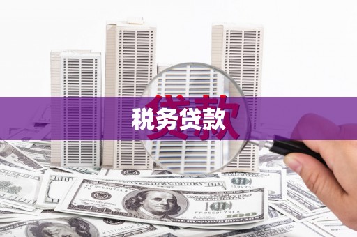 怀来税务贷款