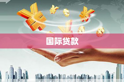 怀来国际贷款
