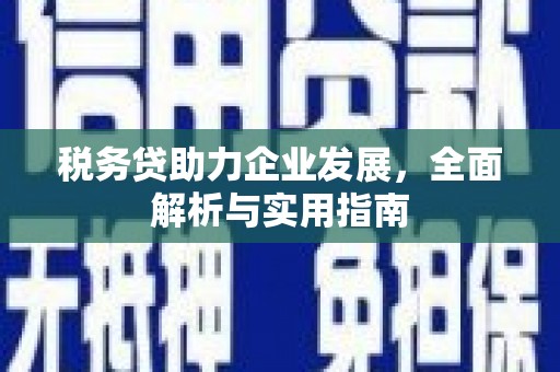 怀来税务贷助力企业发展，全面解析与实用指南