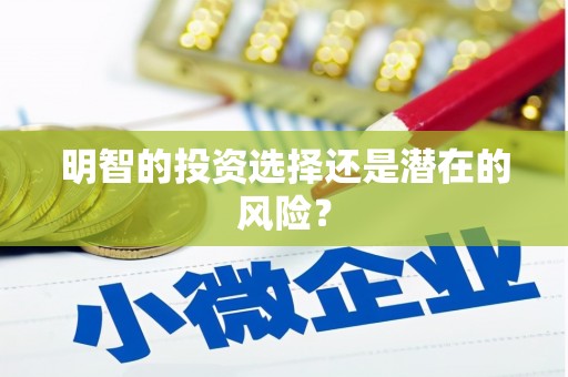 怀来明智的投资选择还是潜在的风险？