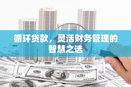 怀来循环贷款，灵活财务管理的智慧之选