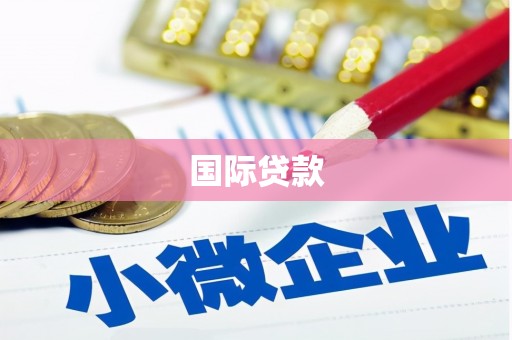 怀来国际贷款