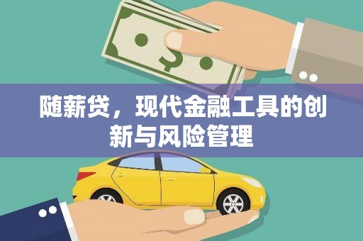 怀来随薪贷，现代金融工具的创新与风险管理