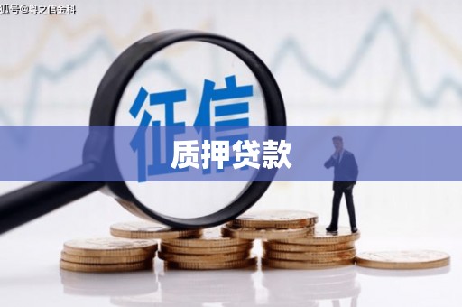 怀来质押贷款