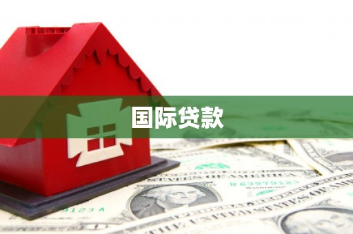 怀来国际贷款