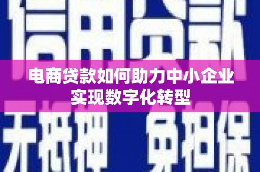 怀来电商贷款如何助力中小企业实现数字化转型