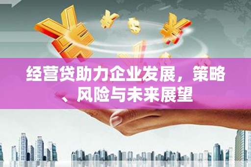 怀来经营贷助力企业发展，策略、风险与未来展望