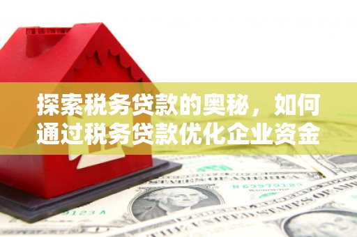 怀来探索税务贷款的奥秘，如何通过税务贷款优化企业资金流