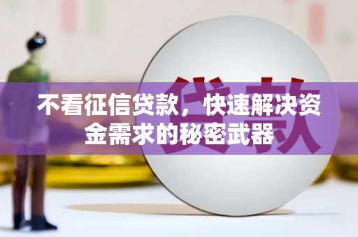 怀来不看征信贷款，快速解决资金需求的秘密武器