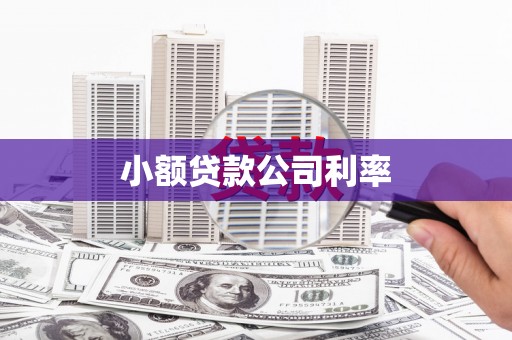 怀来小额贷款公司利率