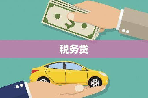 怀来税务贷