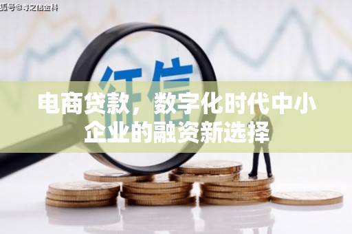 怀来电商贷款，数字化时代中小企业的融资新选择