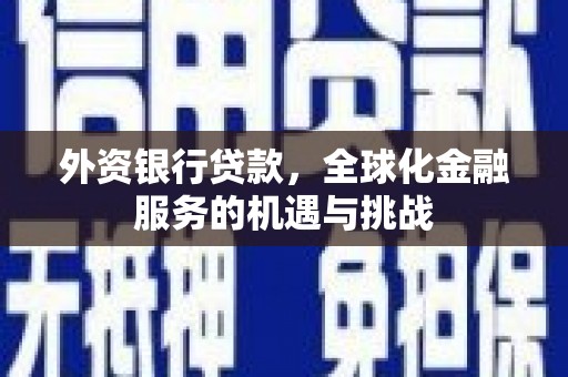怀来外资银行贷款，全球化金融服务的机遇与挑战