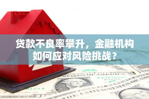 怀来贷款不良率攀升，金融机构如何应对风险挑战？