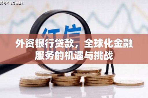 怀来外资银行贷款，全球化金融服务的机遇与挑战