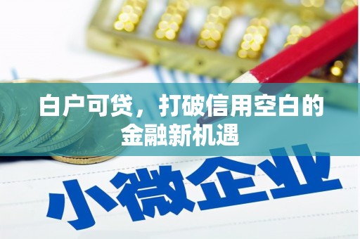 怀来白户可贷，打破信用空白的金融新机遇
